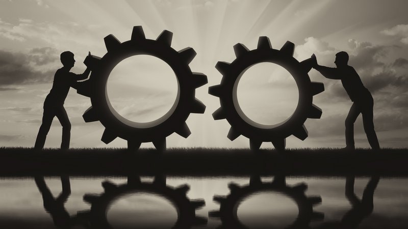 Structure & Networking