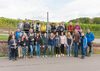 Weinlese 4
