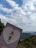 Ausblick