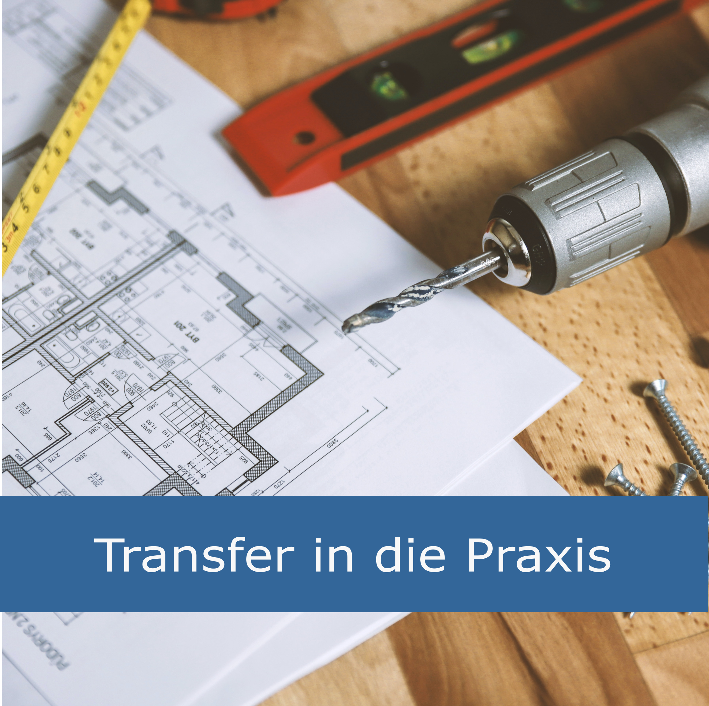 Praxis Transfer