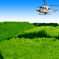 3D-Wald