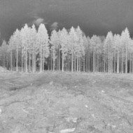 Moor3