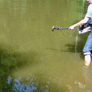 Teich