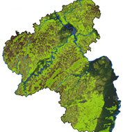 Waldverteilung RLP