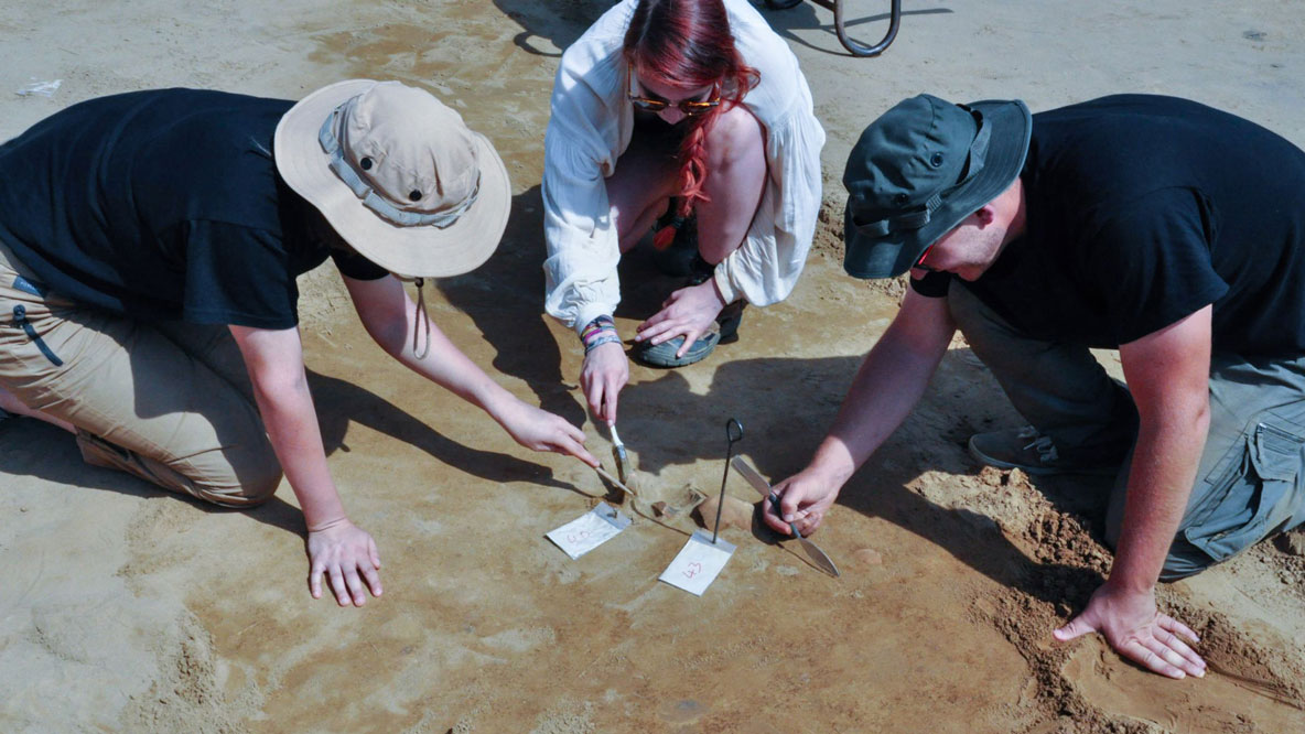 Archäologiestudierende beim vorsichtigen Freilegen von Scherben.