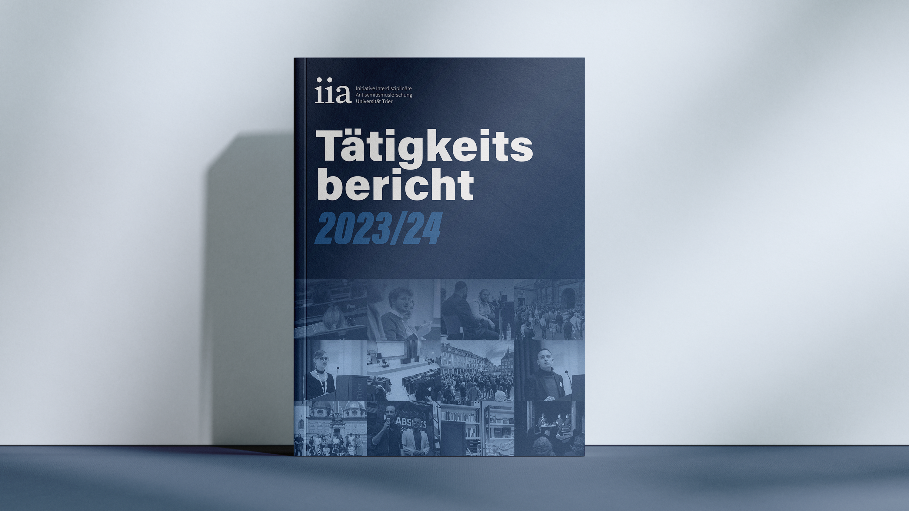 [Translate to Englisch:] IIA Tätigskeitsbericht Cover vor weißer Wand