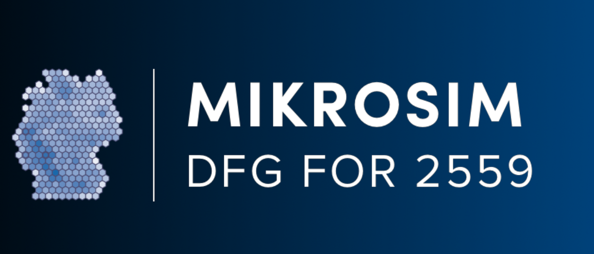MikroSim