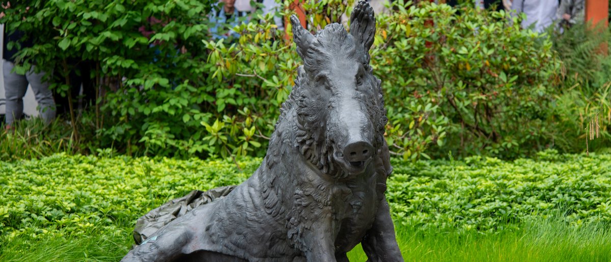Das Porcellino - Unser Glücksbringer Das Porcellino