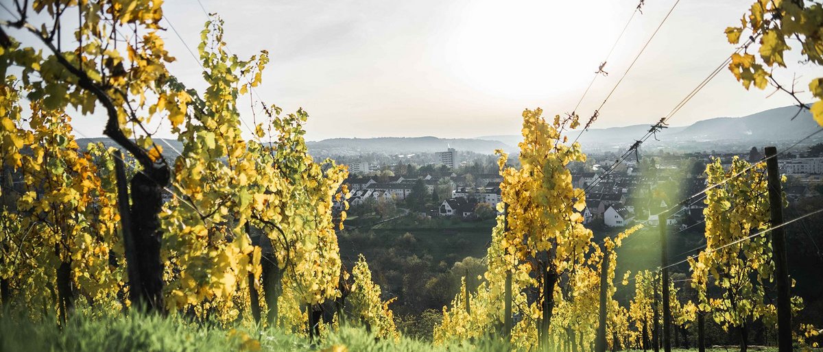 WEIN