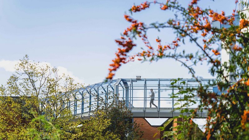 Campus
