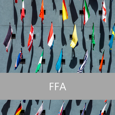 Fachspezifische Fremdsprachenausbildung