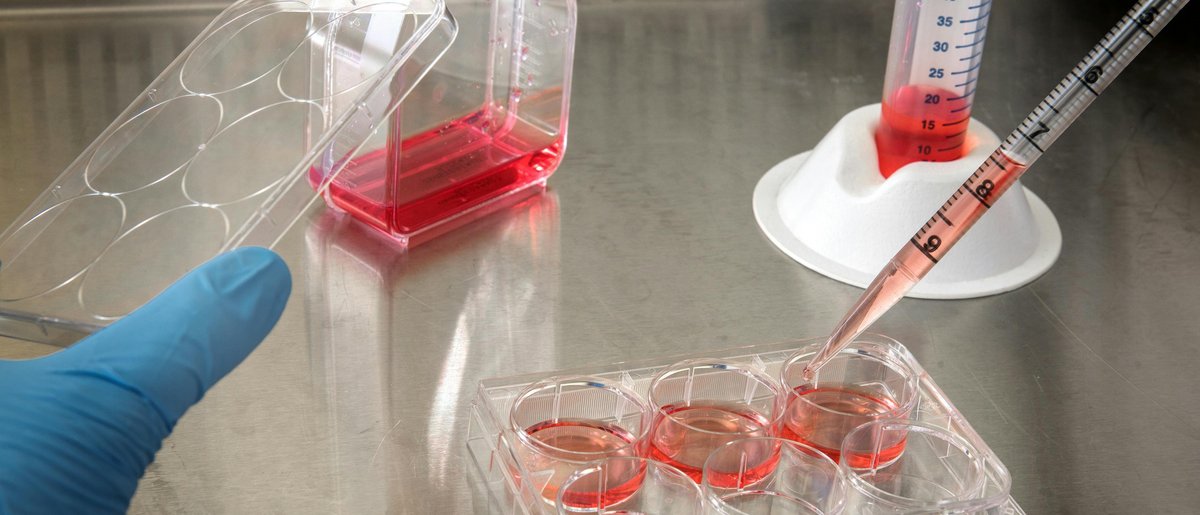 Cell culture work